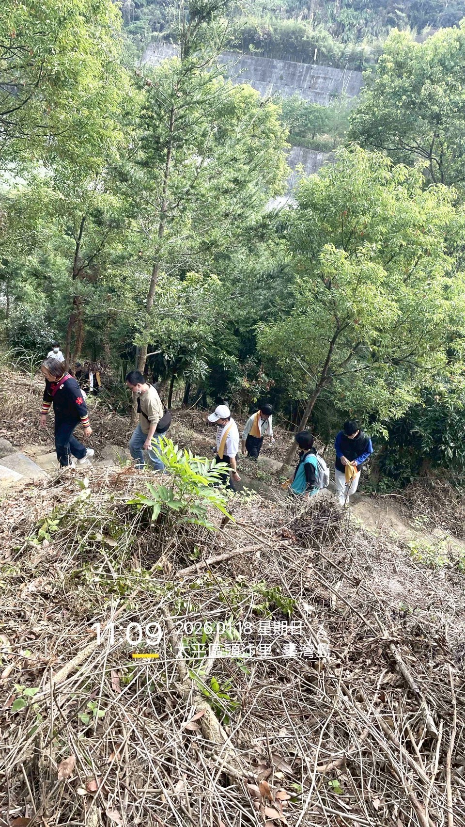 line album 115 260124 3